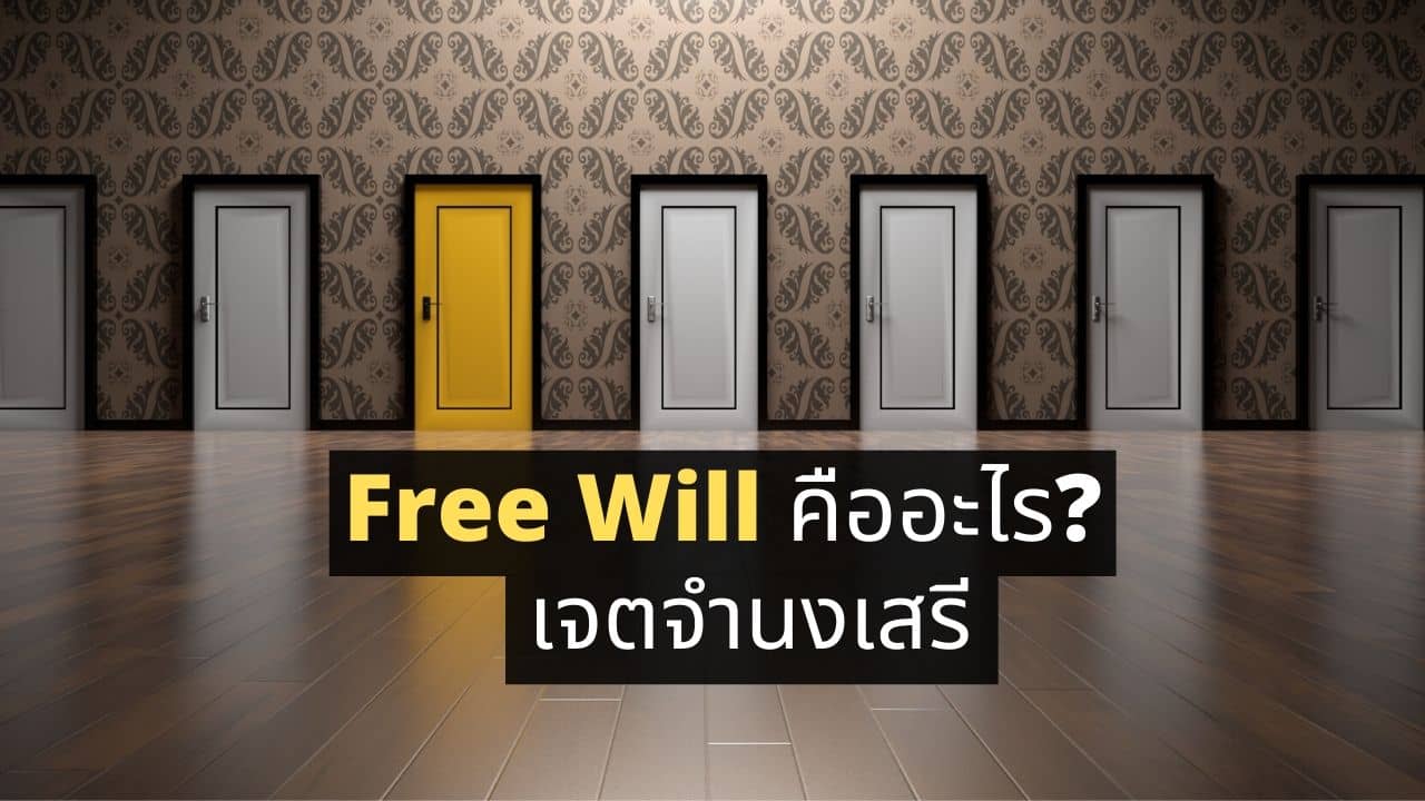 Free Will คืออะไร? มีจริงหรือเปล่านะ (เจตจำนงเสรี)