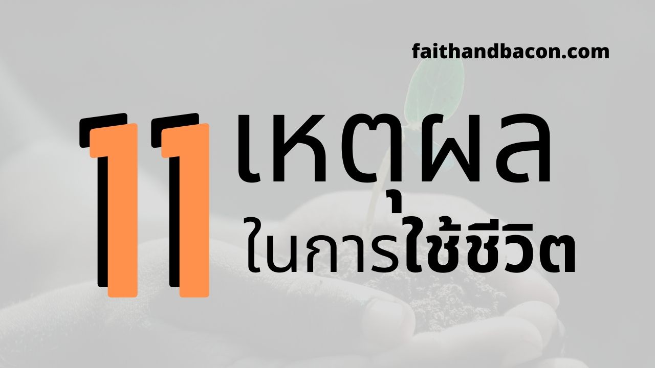 เรามีชีวิตอยู่เพื่ออะไร - 11 เหตุผลในการใช้ชีวิต (ของคุณ) - Faith And Bacon