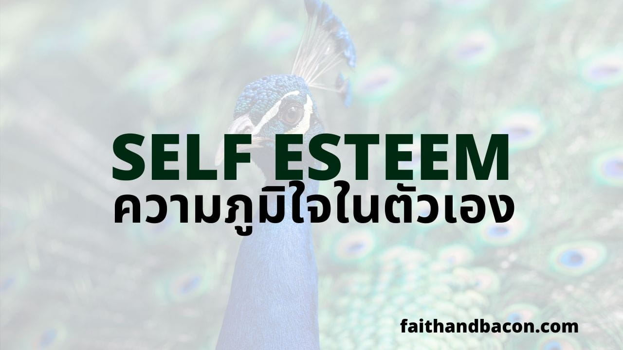 Self Esteem คืออะไร? วิธีสร้างความภูมิใจในตัวเองทำยังไง?